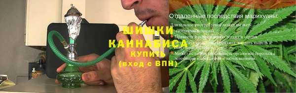 индика Горнозаводск